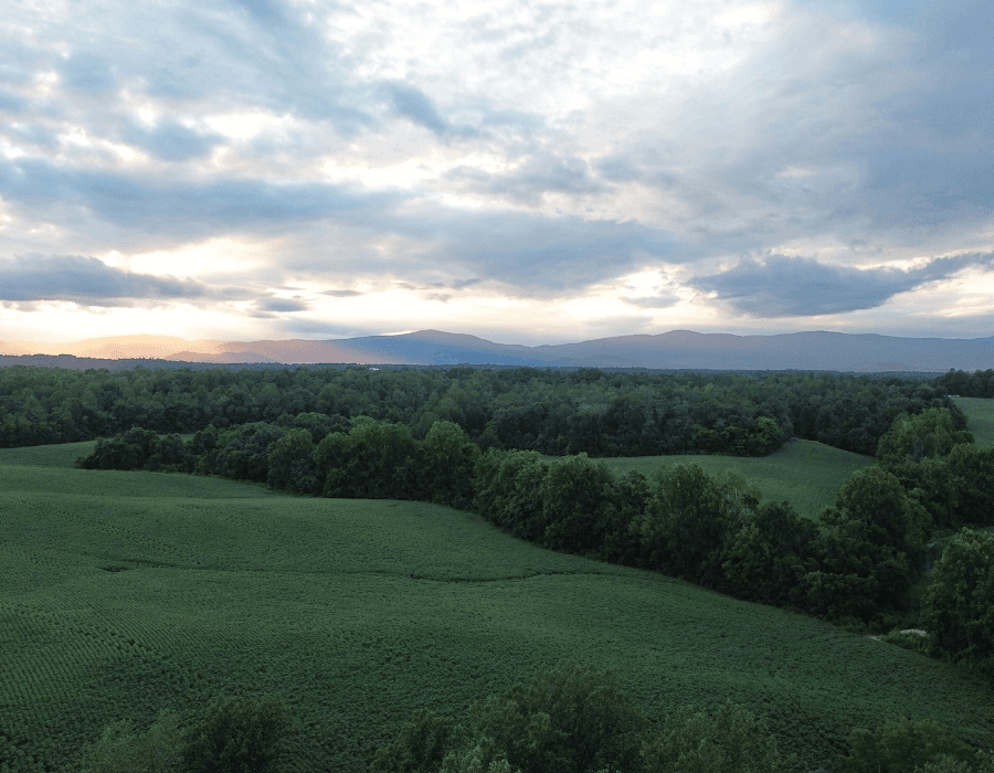 A panoramic view of lush green fields and mountains under a cloudy sky at sunset.